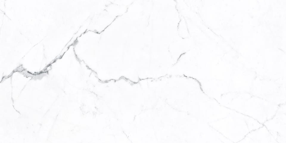 120X60 STATUARIO WHITE VECCHIO 004B