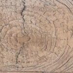 15X90 LUMBER BEIGE ANTIDESLIZANTE COMERCIAL